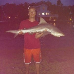 Meet your Posher, Dillon